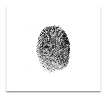 fingerprint